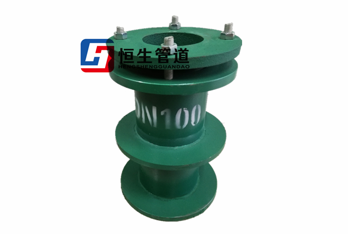 DN100柔性防水套管